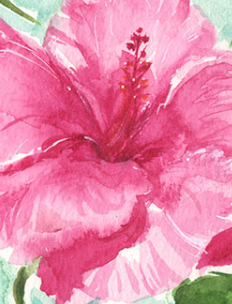 Close-up of a pink flower in watercolor