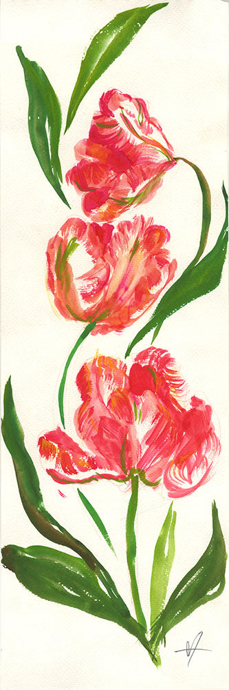 Parrot Tulips Times Three